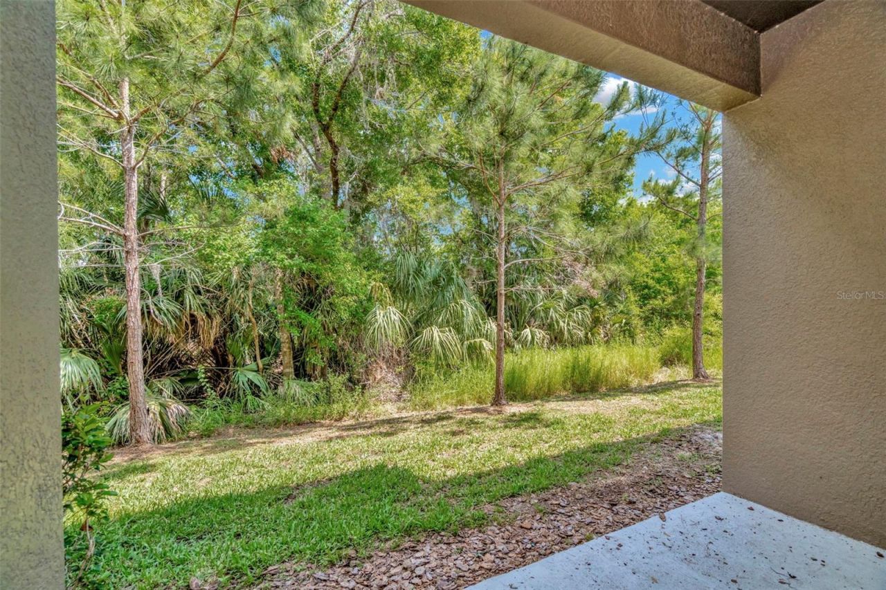28516 Tranquil Lake Circle, Wesley Chapel, FL 33543 Photo