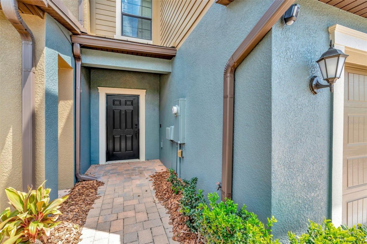 28516 Tranquil Lake Circle, Wesley Chapel, FL 33543 Photo