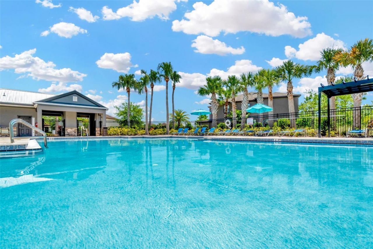 28516 Tranquil Lake Circle, Wesley Chapel, FL 33543 Photo