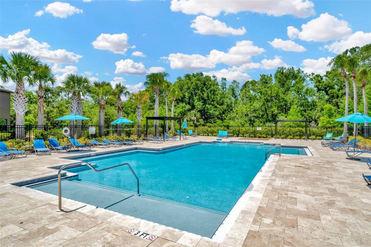 28516 Tranquil Lake Circle, Wesley Chapel, FL 33543 Photo