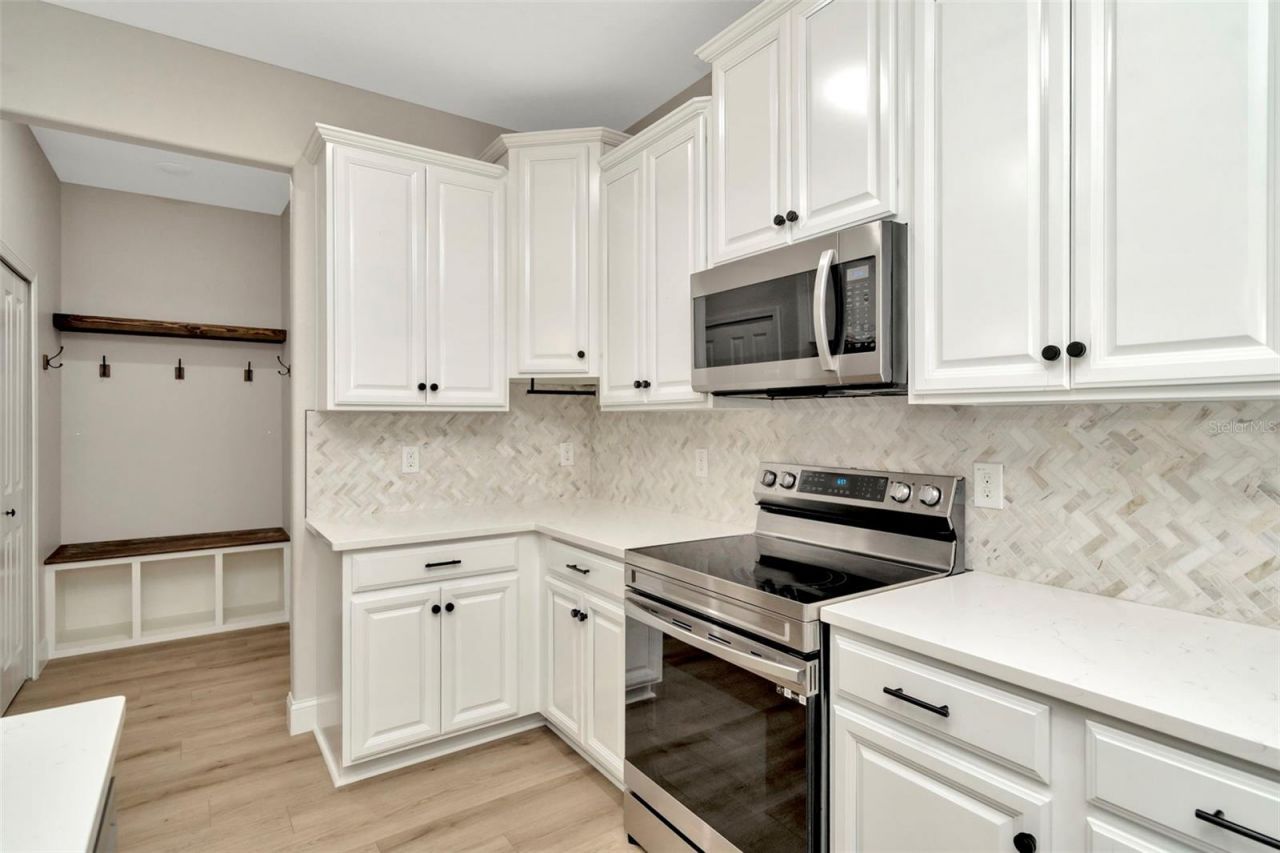 28516 Tranquil Lake Circle, Wesley Chapel, FL 33543 Photo