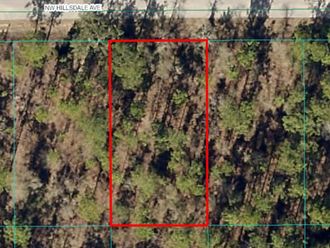 Lot 15 NW HILLSDALE AVENUE Dunnellon, FL 34431