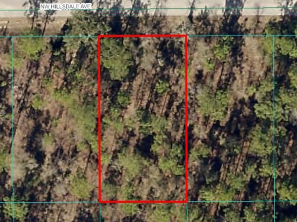 Lot 15 NW HILLSDALE AVENUE, DUNNELLON, FL 34431