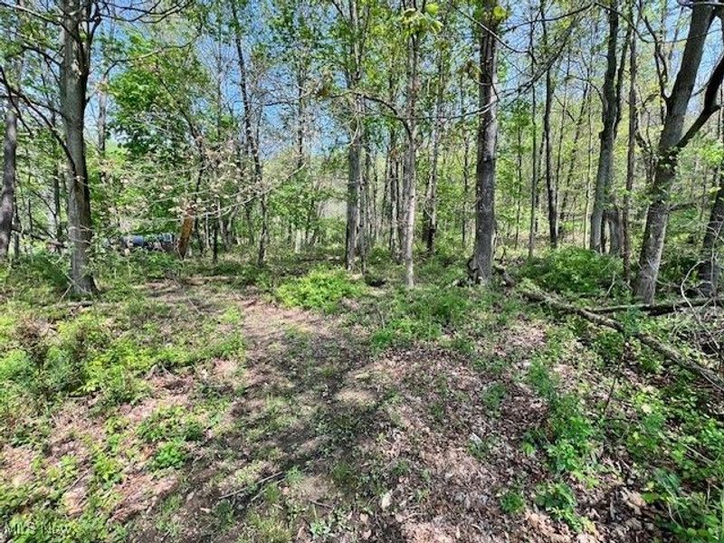 Royal Street, Midvale, OH 44653 Photo 2