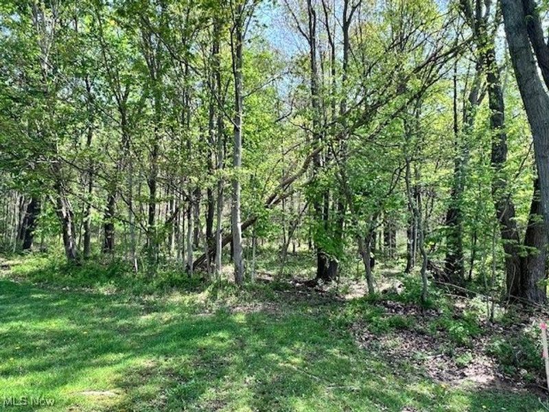 Royal Street, Midvale, OH 44653 Photo 4