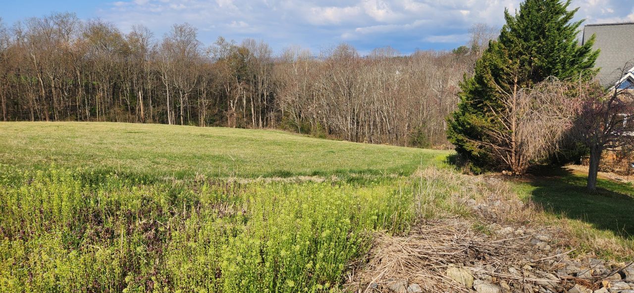 Lot 7 Kyles Ct, Rocky Mount, VA 24151 Main Photo