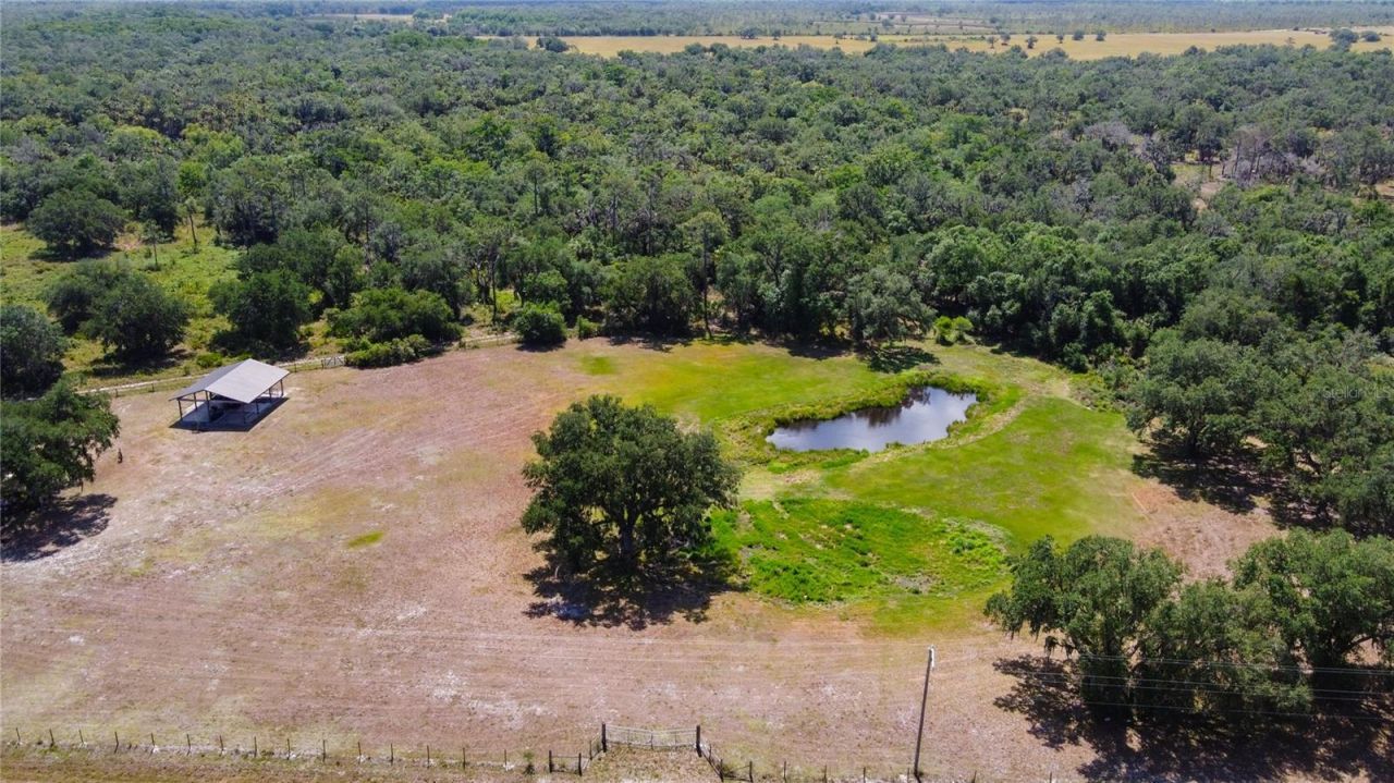 4806 SW County Road 769, Arcadia, FL 34269 Photo