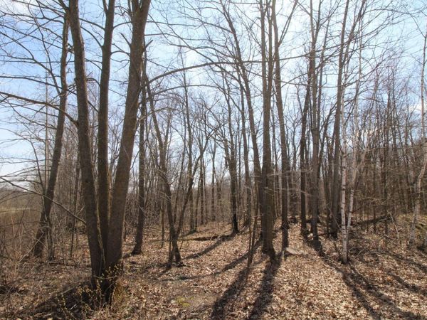 XXX Lake Camille Dr., Randall, MN 56475