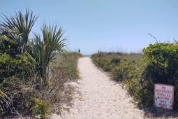 2501 Myrtle Street photo 4