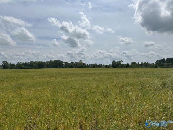 28 Acres Hwy 64, Lexington, AL 35648