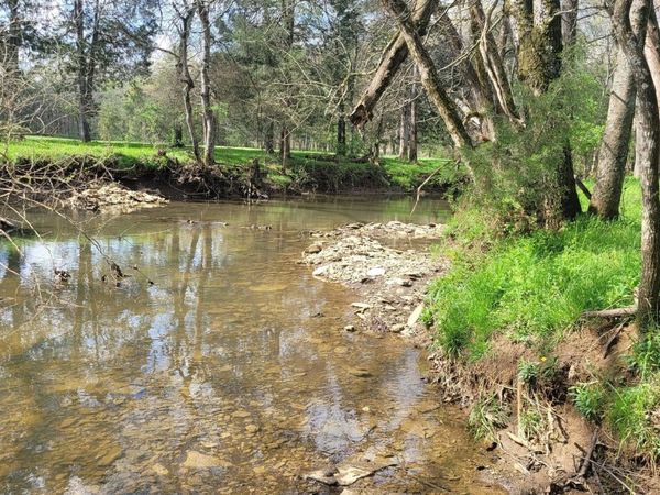 3 Pass Rd, Shelbyville, TN 37160