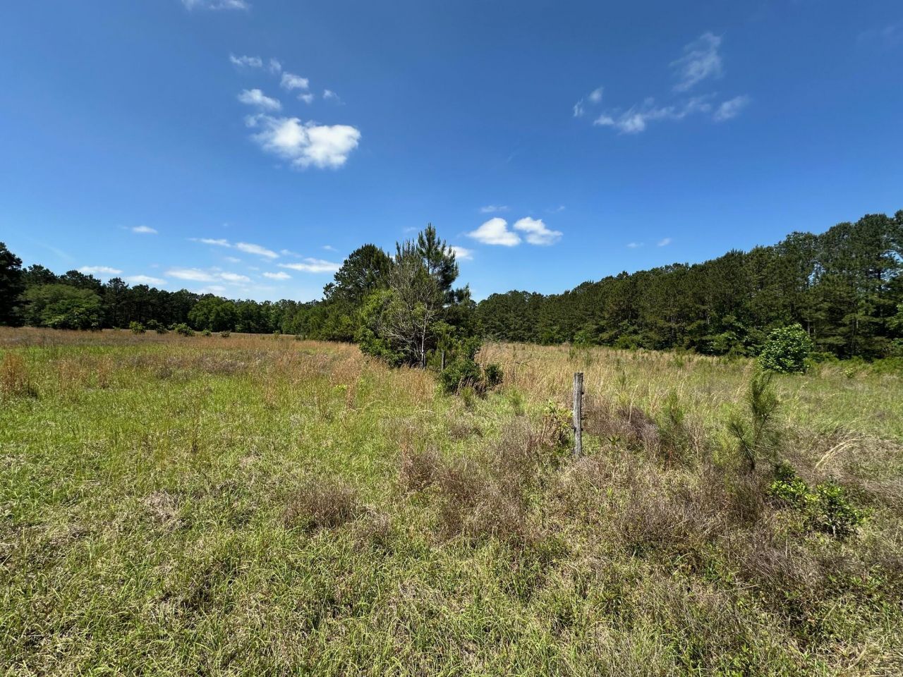 8441 Willtown Road Photo 1