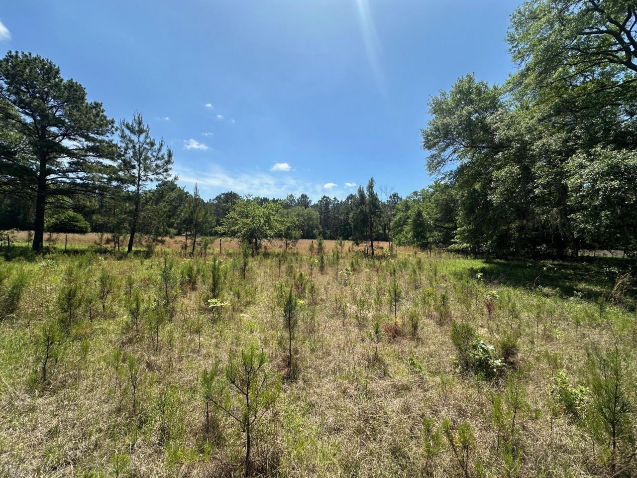 8441 Willtown Road Photo 10