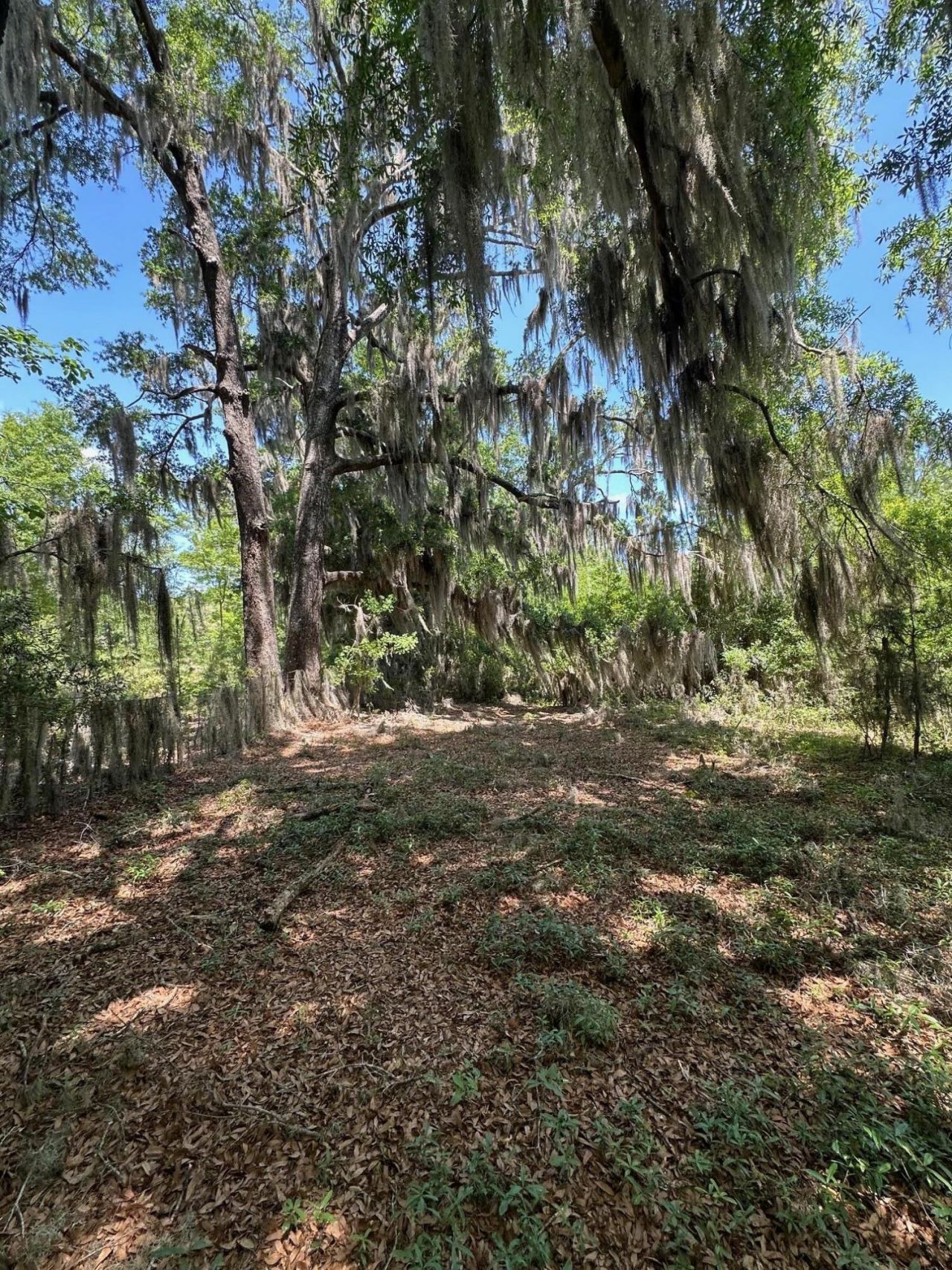 8441 Willtown Road Photo 11