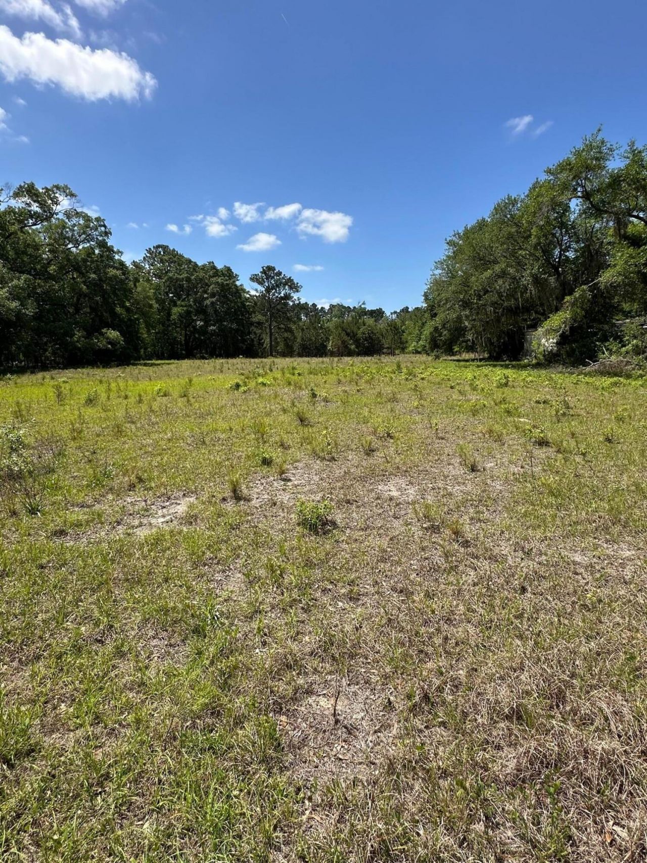 8441 Willtown Road Photo 13