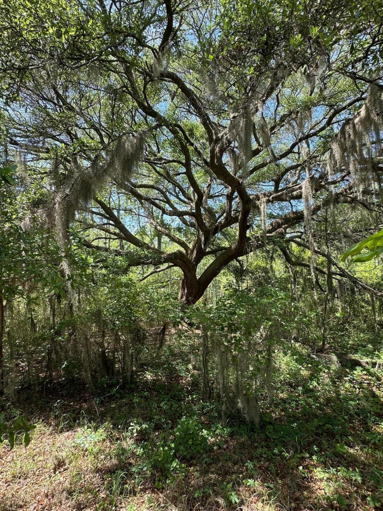 8441 Willtown Road Photo 14