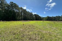 8441 Willtown Road photo 4