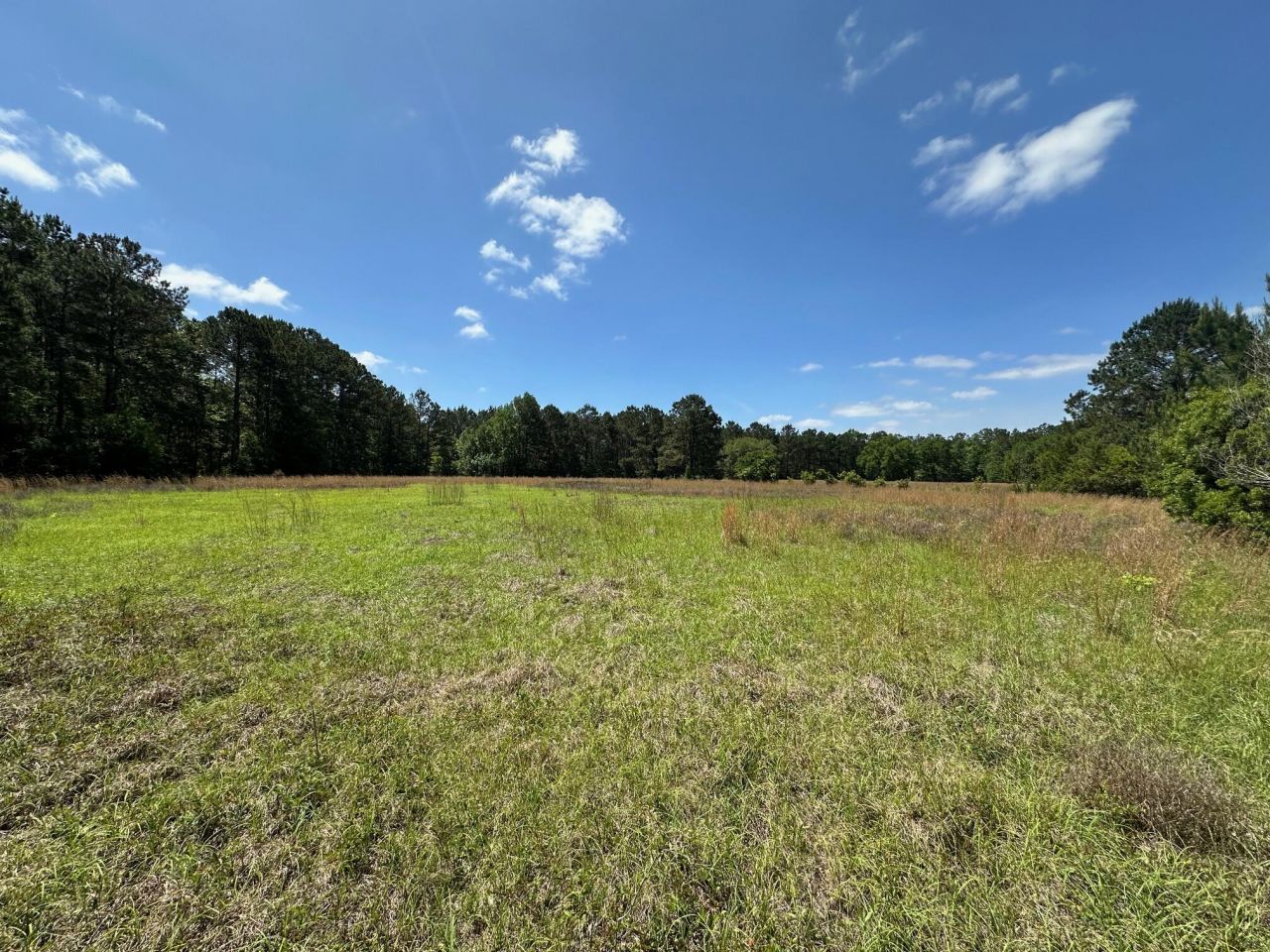 8441 Willtown Road Photo 3