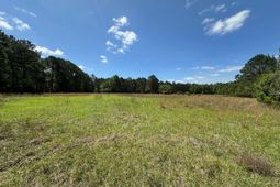 8441 Willtown Road photo 4