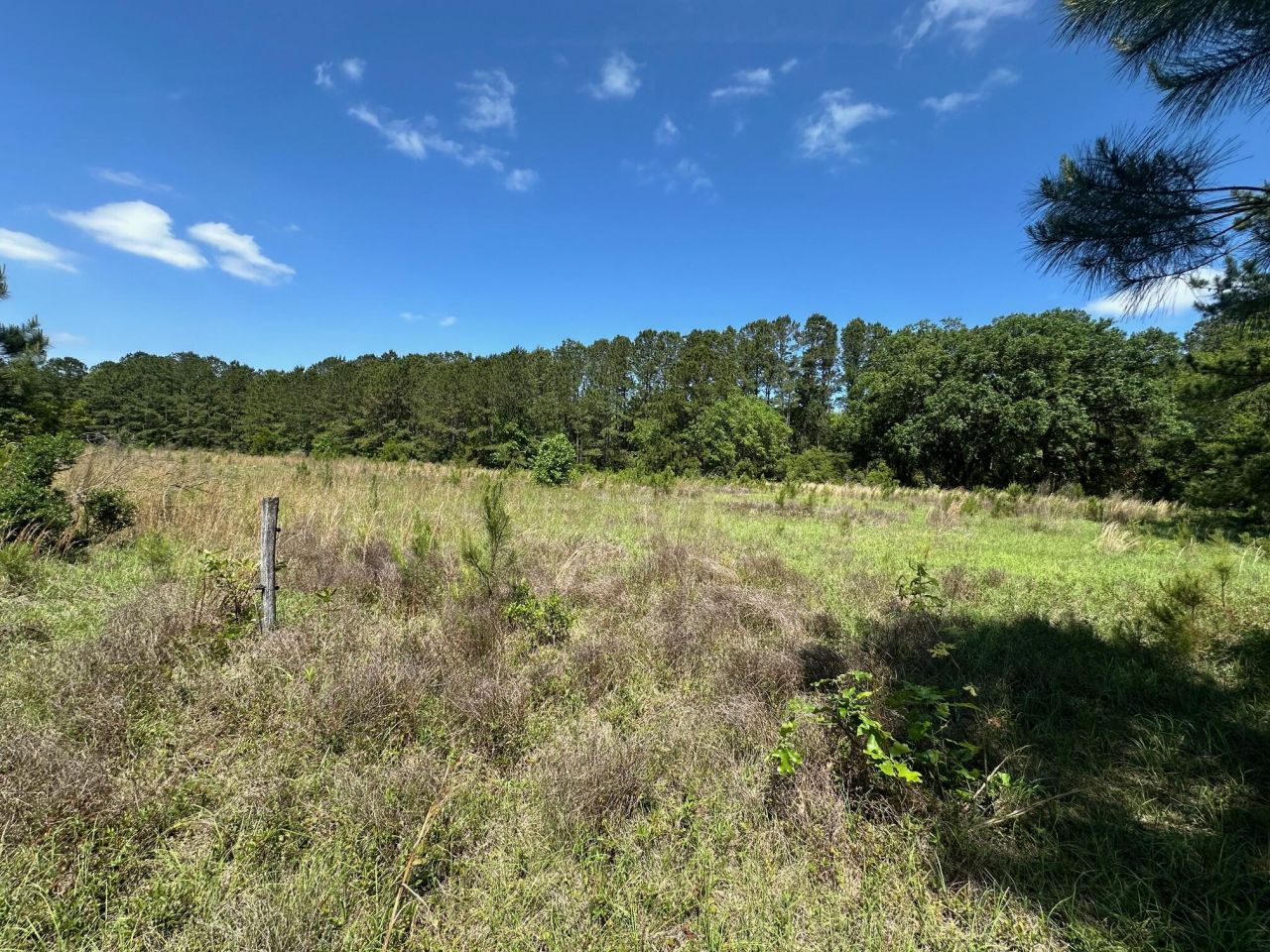 8441 Willtown Road Photo 4