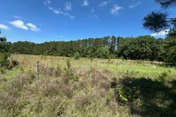 8441 Willtown Road photo 4