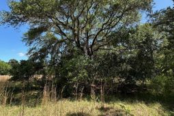 8441 Willtown Road photo 4