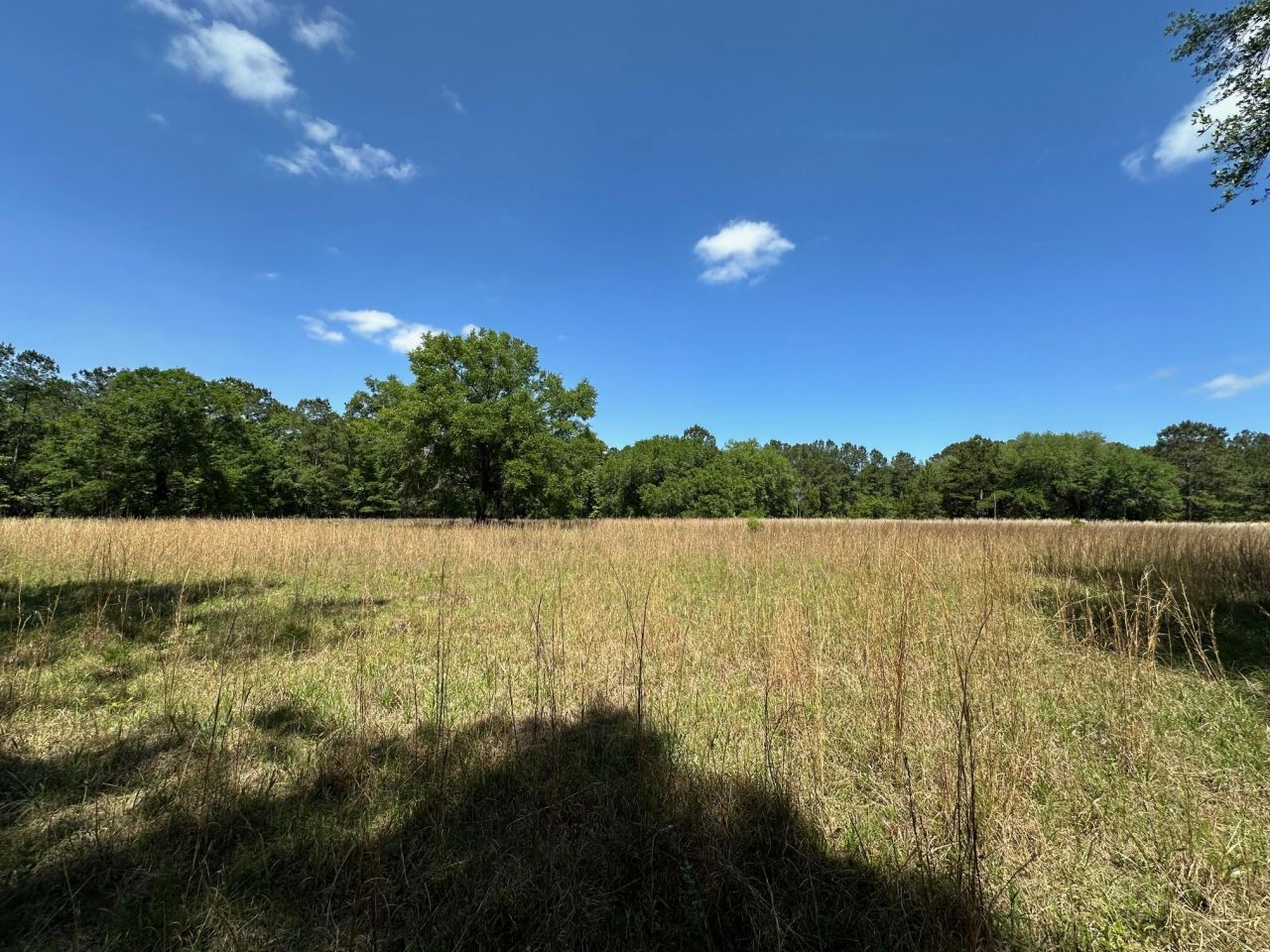 8441 Willtown Road Photo 6