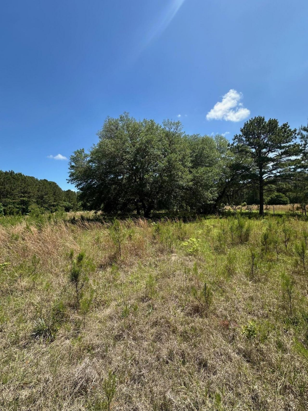 8441 Willtown Road Photo 8