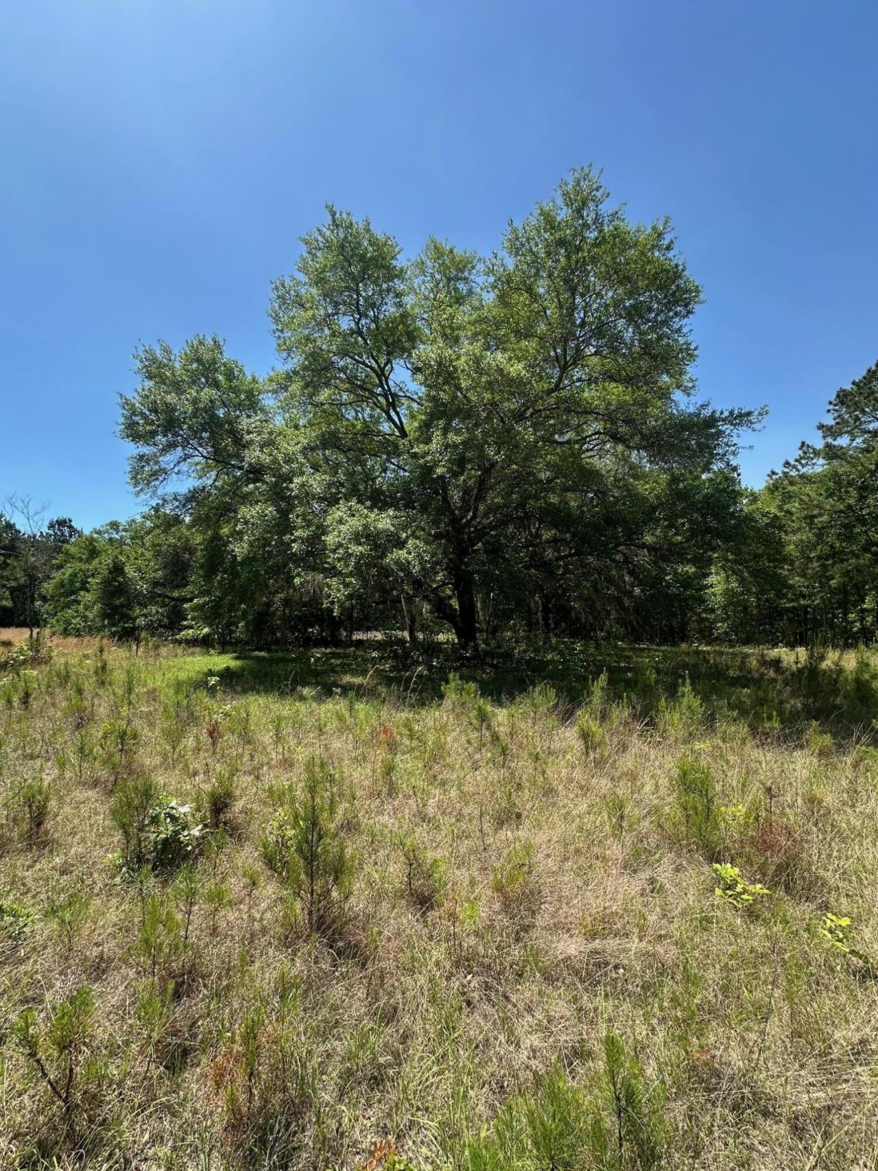 8441 Willtown Road Photo 9