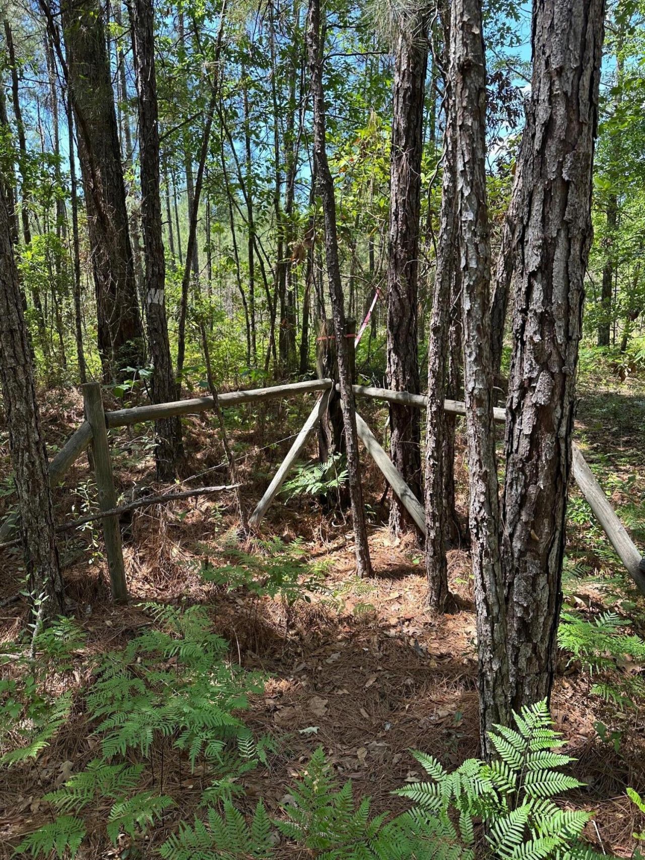 0 Willtown Road Photo 11