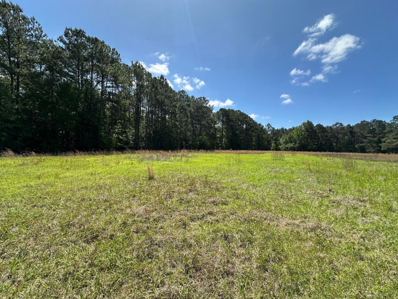 0 Willtown Road Photo 2