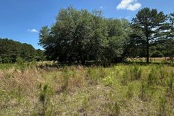 0 Willtown Road photo 4