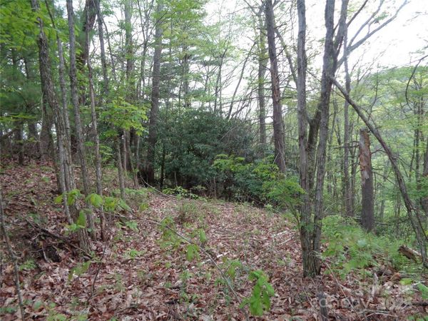 00 Promiseland Road, Canton, NC 28716
