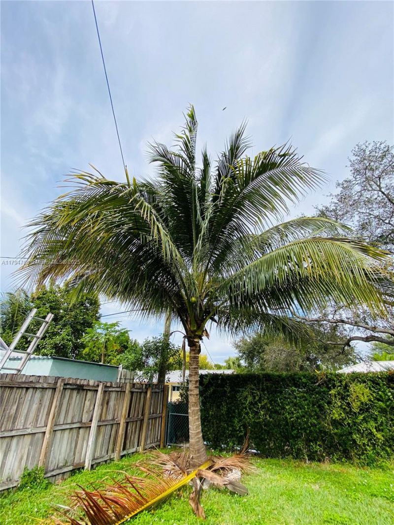 8701 SW 191st St, Cutler Bay, FL 33157 Photo