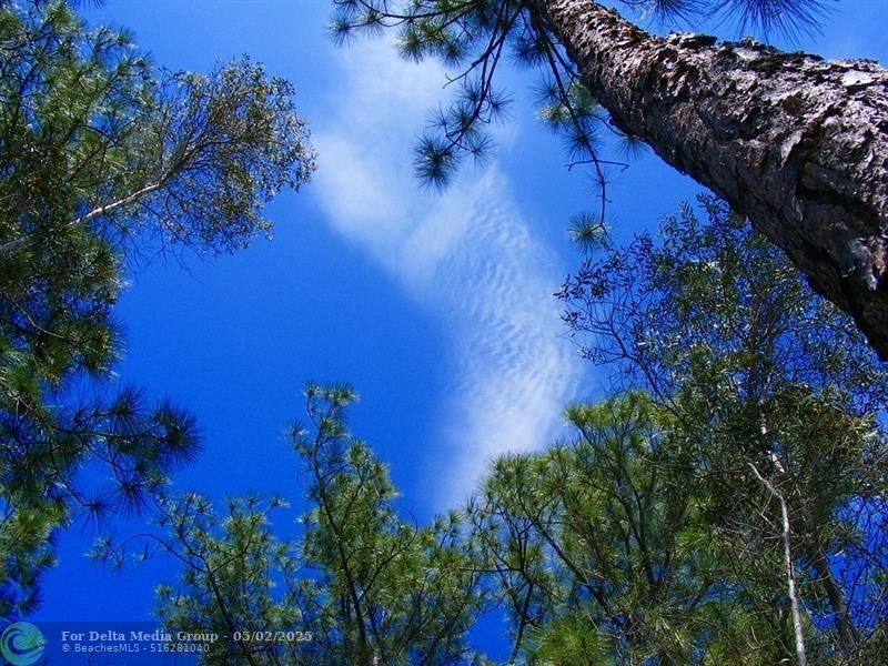 1246 Cordoba Street, Lehigh Acres, FL 33974 Photo