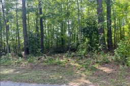 0 Robin Drive photo 4