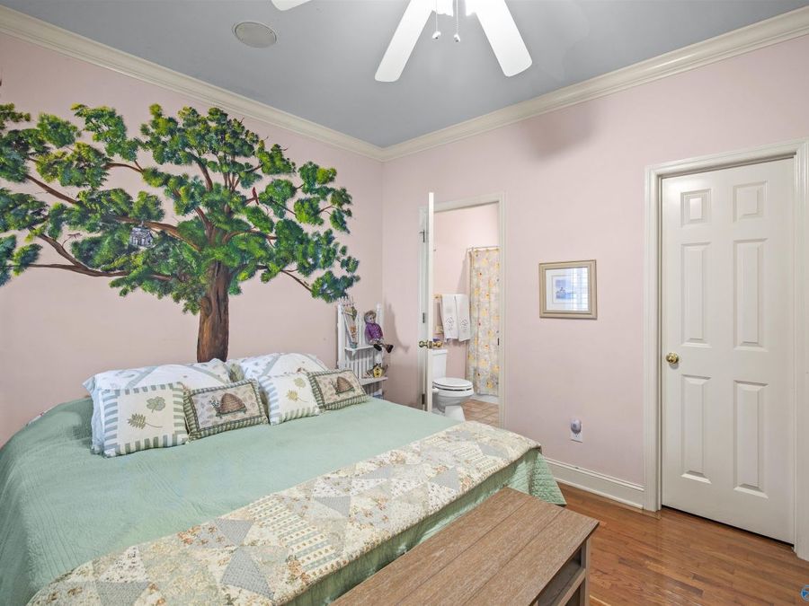 Property Image 45