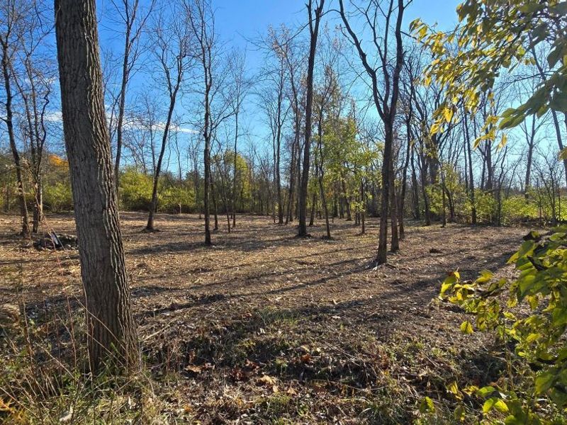 3480 Ostrander Road, Ostrander, OH 43061 Photo 53