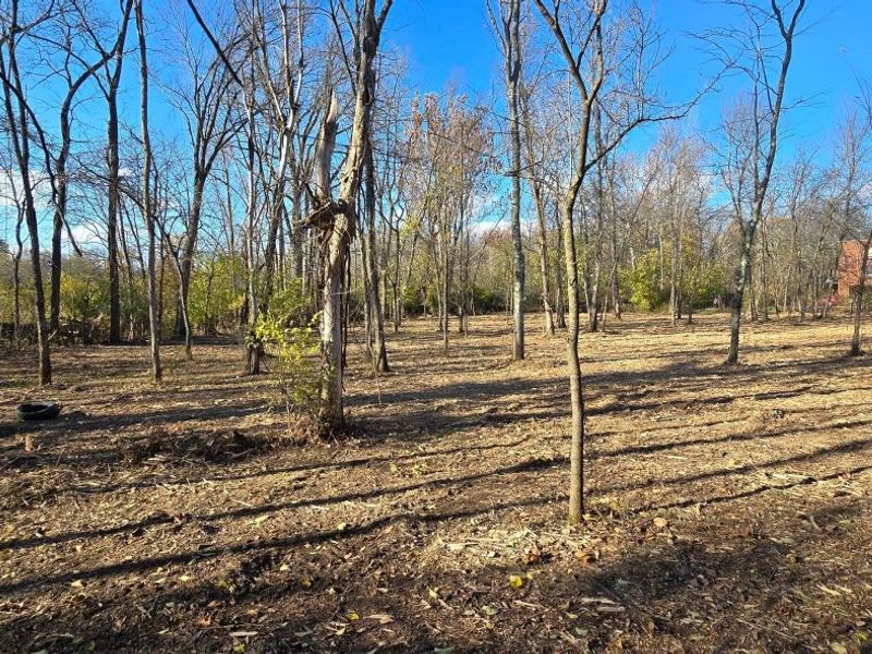 3480 Ostrander Road, Ostrander, OH 43061 Photo 56