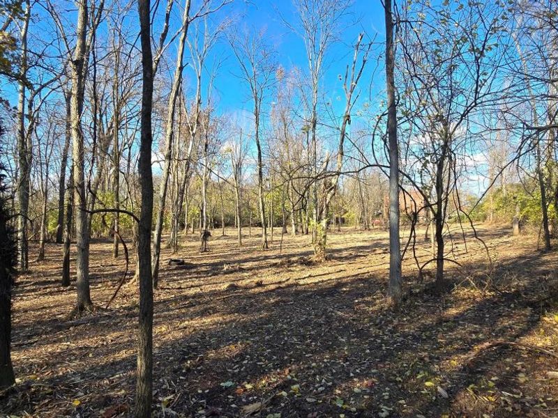 3480 Ostrander Road, Ostrander, OH 43061 Photo 57