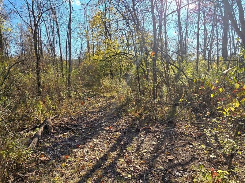 3480 Ostrander Road, Ostrander, OH 43061 Photo 58