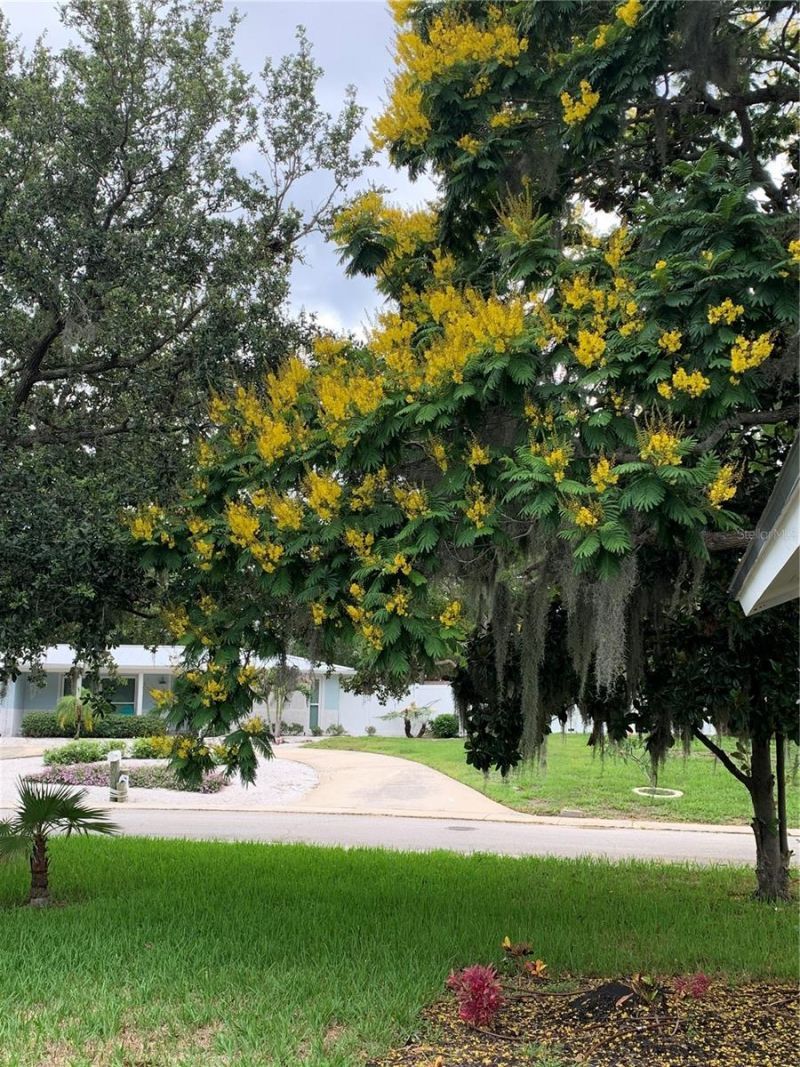 6370 Conniewood Square, New Port Richey, FL 34653 Photo