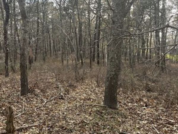 37 Cyprus Rd, Dennis, MA 02660