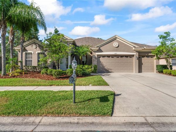 10517 PALM COVE AVENUE, TAMPA, FL 33647