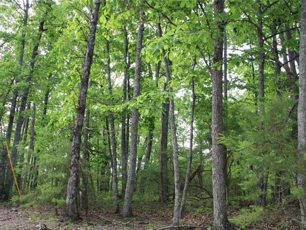 1427 Jasper Court NE, Ranger, GA 30734