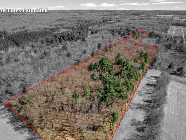 TBD Montgomery Road, Hixton, WI 54635