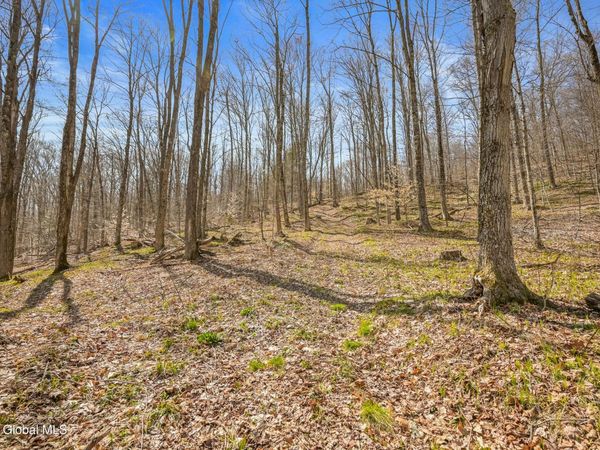 L9.113 Lutheranville Road, East Worcester, NY 12175