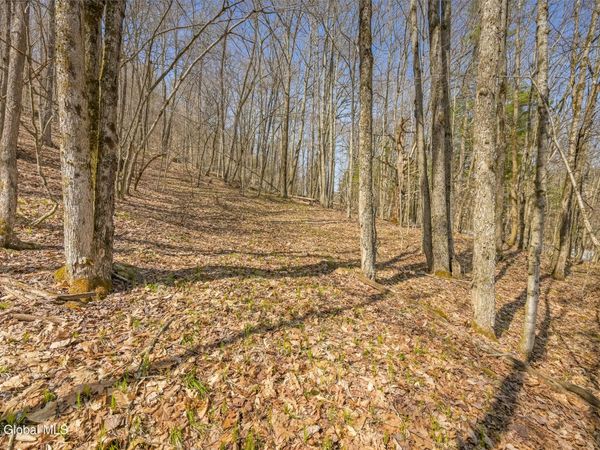 L9.114 Lutheranville Road, East Worcester, NY 12175