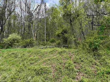 TBD Highland Avenue, Mannington, WV 26582