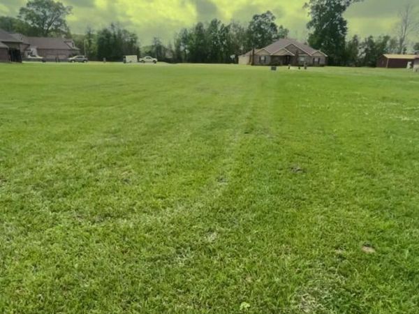 Tbd Coushatta Lane, Opelousas, LA 70570